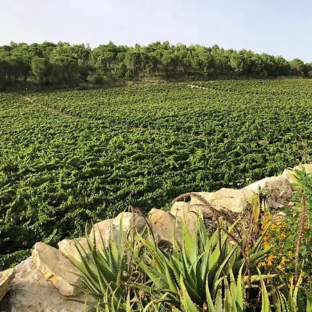 Farm stay Tenute Pispisa Segesta