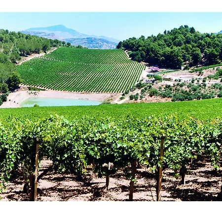 Farm stay Tenute Pispisa Segesta *