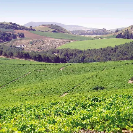 Tenute Pispisa Segesta Farm stay