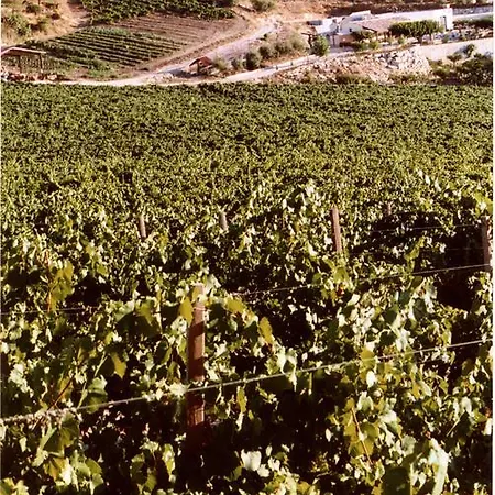 Farma Tenute Pispisa Segesta Calatafimi